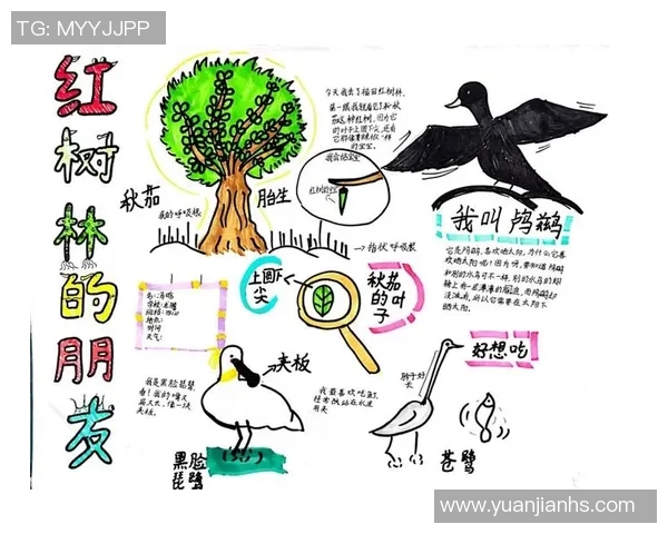 深圳乒乓球队的灵活性探索与发展:从训练到比赛的全方位分析 深圳乒乓球队的灵活性探索与发展:从训练到比赛的全方位分析