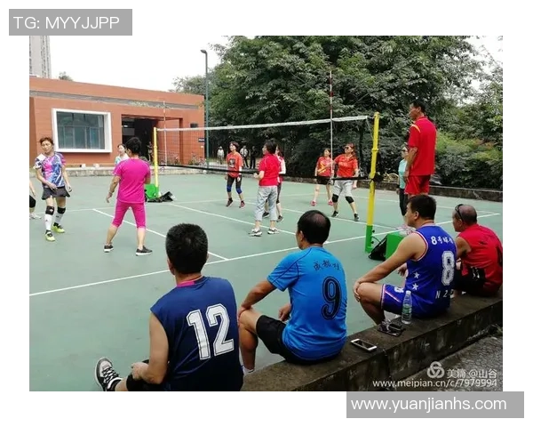 成都排球队技术解析：从基本功到战术运用的全面探讨与提升